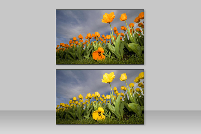 Photo Editing - Color 4